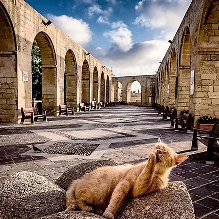 Seaview The Terraces 3 Bedroom *