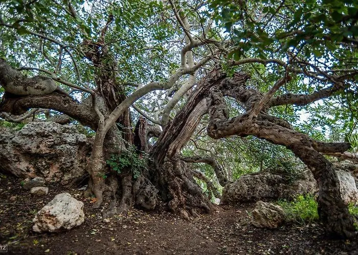 Seaview The Terraces 3 Bedroom *