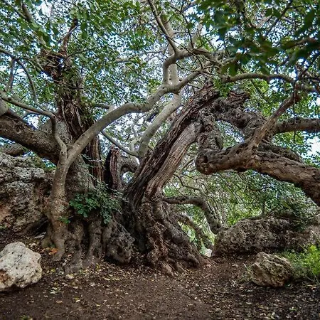 Seaview The Terraces 3 Bedroom *